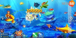 Giới thiệu tổng quan về Game bắn cá đổi card