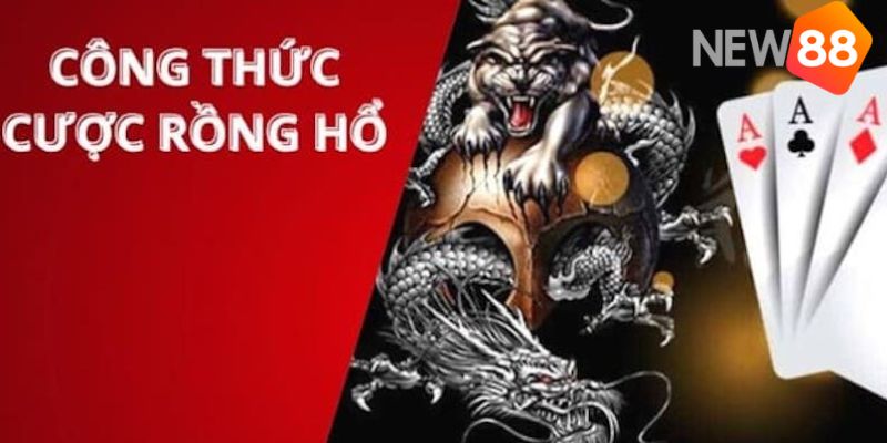 Hướng dẫn cách soi cầu Rồng Hổ theo dây